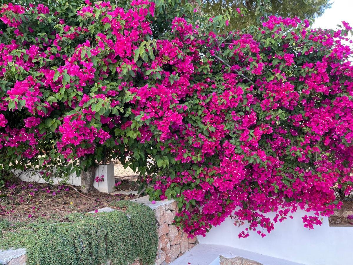 Es Queixal - Can Canet Con Piscina Exterior Climatizada Cala Vadella  Εξωτερικό φωτογραφία
